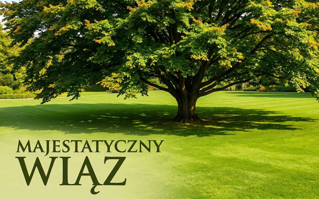 Wiąz – majestatyczne drzewo w krajobrazie i ogrodzie