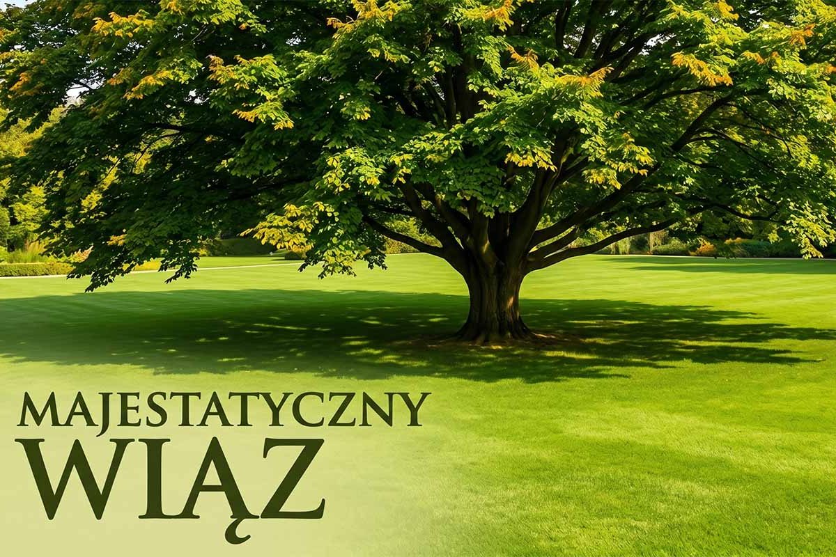Wiąz – majestatyczne drzewo w krajobrazie i ogrodzie