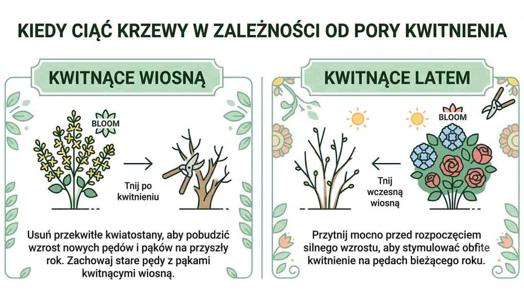 Krzewy ozdobne kwitnące — przegląd gatunków i pielęgnacja