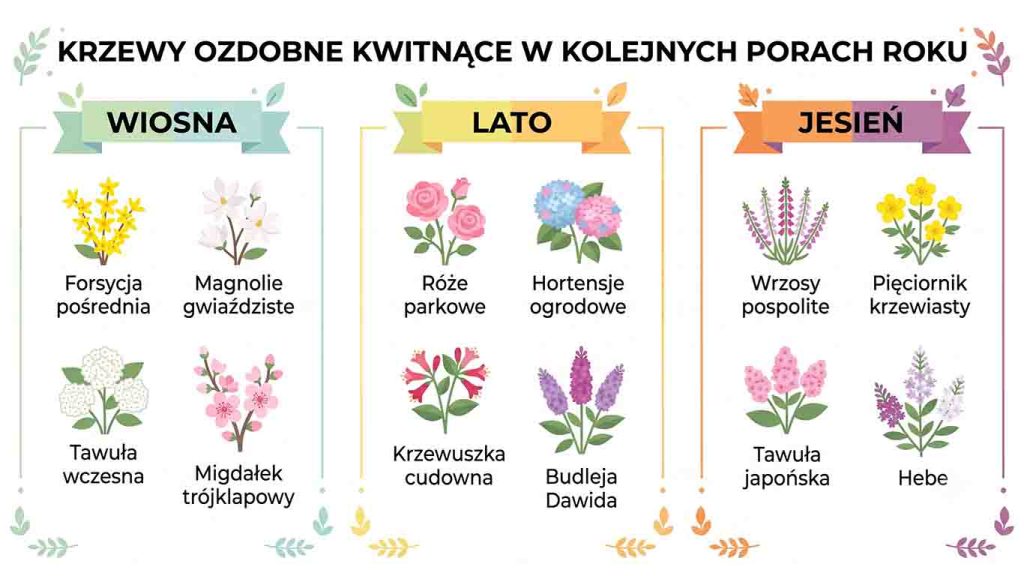 Krzewy ozdobne kwitnące — przegląd gatunków i pielęgnacja